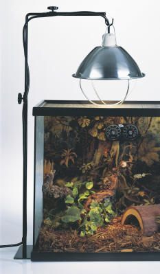 Meerdere verhouding zwaan Zoo Med Repti Lamp Stand Small 65 cm - Baitshop